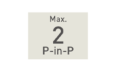 PinP/最大2系統